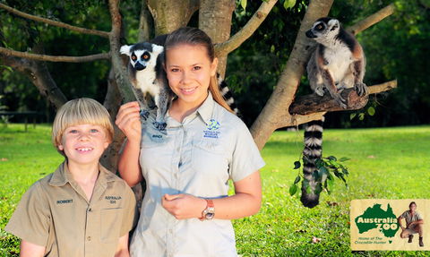 Australia Zoo - Accommodation Ballina 2