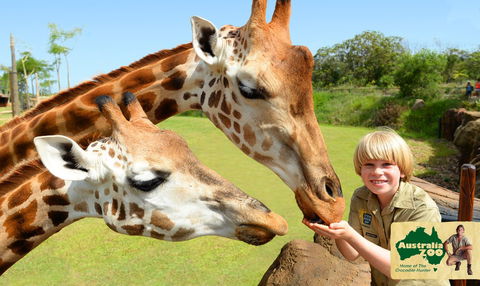 Australia Zoo - Accommodation Ballina 4