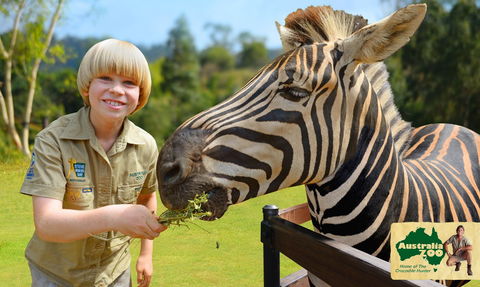 Australia Zoo - Accommodation Ballina 5