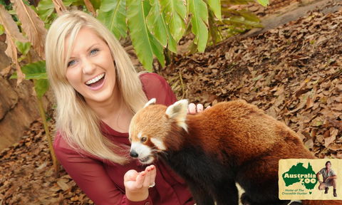 Australia Zoo - Accommodation Ballina 7