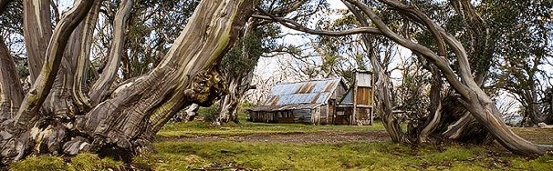 High Country Scenic Tours - Accommodation Ballina