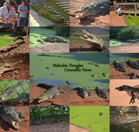 The Malcolm Douglas Crocodile Park - Accommodation Ballina