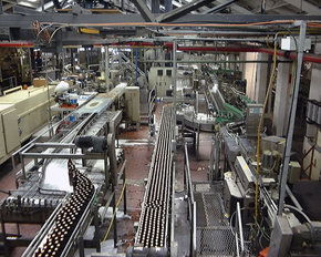 Cascade Brewery Tour - Accommodation Ballina 2