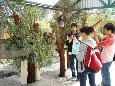Caversham Wildlife Park - Accommodation Ballina 4