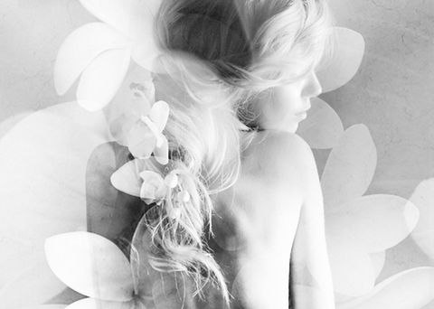 Elysium- A Place Of Beauty - Accommodation Ballina 1