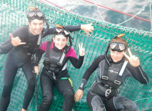 Dolphin Swim Australia - Accommodation Ballina 7