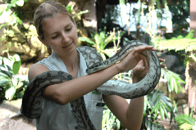 Cairns Wildlife Dome - Accommodation Ballina 2