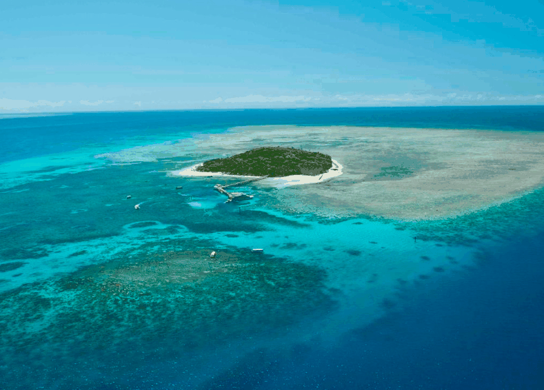 Big Cat Green Island Reef Cruises - Accommodation Ballina 1