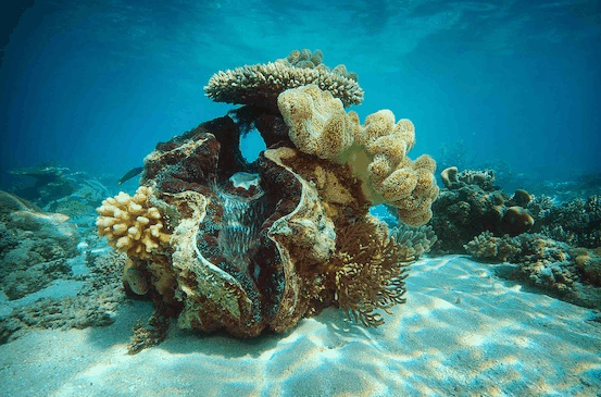 Big Cat Green Island Reef Cruises - Accommodation Ballina 3