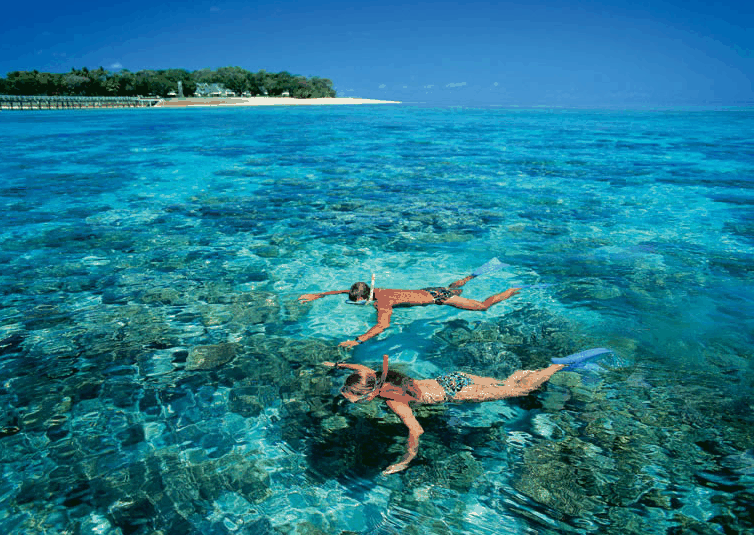 Big Cat Green Island Reef Cruises - Accommodation Ballina 4