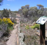 Christmas Rock Walk - Accommodation Ballina