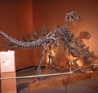Denmark Dinosaur World - Accommodation Ballina