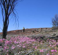 Talgomine Reserve - Accommodation Ballina