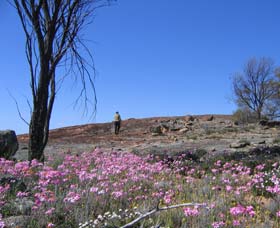 Talgomine Reserve - Accommodation Ballina 0