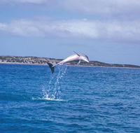 Steep Point - Accommodation Ballina