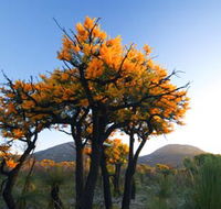 Cape Le Grand National Park - Accommodation Ballina