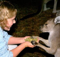 Discovery Bay's Walk on the Wild Side - Accommodation Ballina