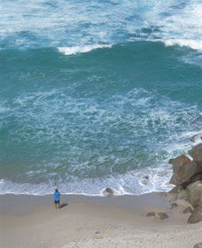 The Salmon Holes - Accommodation Ballina 0