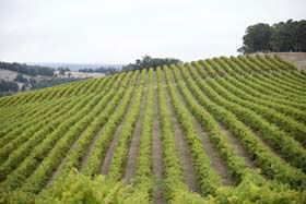 Henty WA Accommodation Ballina