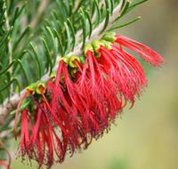 Ethel Daw Scenic Drive - Accommodation Ballina