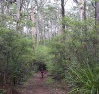 Margaret River Rails Trail - Accommodation Ballina