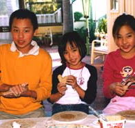 Peel Pottery - Accommodation Ballina