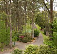 Mount Lofty Botanic Garden - Accommodation Ballina
