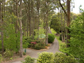 Mount Lofty Botanic Garden - Accommodation Ballina 0