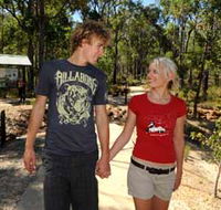 Crooked Brook Forest - Accommodation Ballina