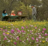 Gwambygine Park - Accommodation Ballina