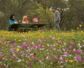 Gwambygine Park - Accommodation Ballina 0