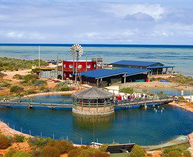 Shark Bay WA Accommodation Ballina