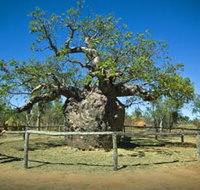 Pigeon Heritage Trail - Accommodation Ballina