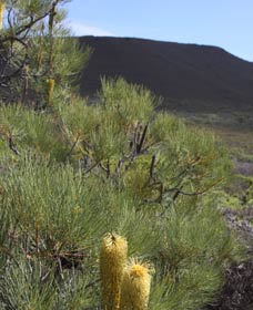  Accommodation Ballina