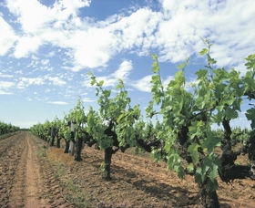 Karridale WA Accommodation Ballina