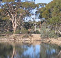 Merredin Railway Dam - Accommodation Ballina