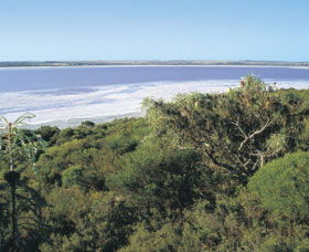 Pink Lake - Accommodation Ballina 0