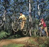 Leeuwin-Naturaliste National Park - Cowaramup - Accommodation Ballina
