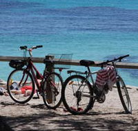 Parker Point Marine Snorkel Trail - Accommodation Ballina