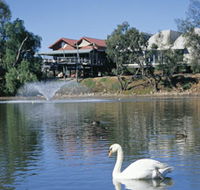 White Swans - Accommodation Ballina