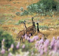 Jurabi Coastal Reserve - Accommodation Ballina