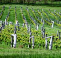 Sienna Estate Winery - Accommodation Ballina