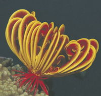 Muiron Islands - Accommodation Ballina