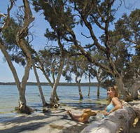 Stokes National Park - Accommodation Ballina