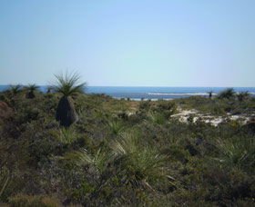 Lesueur National Park - Accommodation Ballina 0