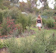 The Mythic Mazes - Accommodation Ballina