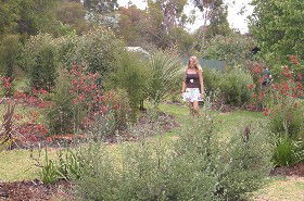 The Mythic Mazes - Accommodation Ballina 0