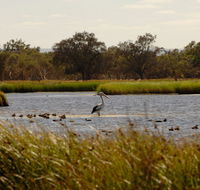 Anytime Adventures in Mandurah  the Peel Region - Accommodation Ballina