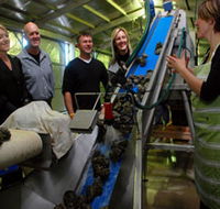 Eyre Peninsula's Seafood Trail - Accommodation Ballina