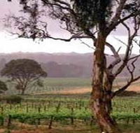Yangarra Estate Vineyard - Accommodation Ballina